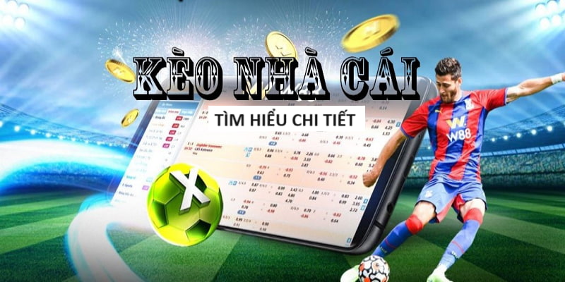 8xbet-Trải nghiệm đỉnh cao với casino trực tuyến!